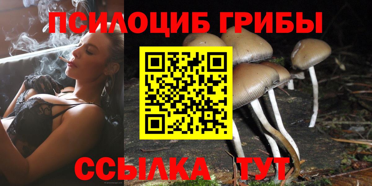 Псилоцибиновые грибы Psilocybine cubensis  Вход с VPN  Электрогорск 